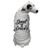 Sweet & Spooky - Halloween Adorable Dog Shirt (Light Gray, 2X-Large) view 2