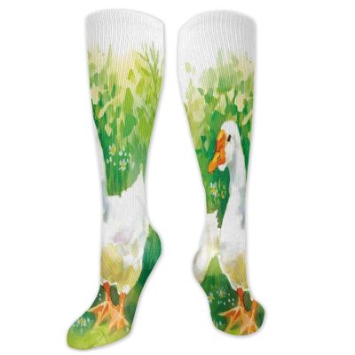 GULTMEE Duck Fashion Compression Socks,Goose In Farm Lake Plants Grass Reeds Flowers Performance Polyester Cushioned Athletic Crew Socks for Running,Athletic,Green And White- 19.8 inch