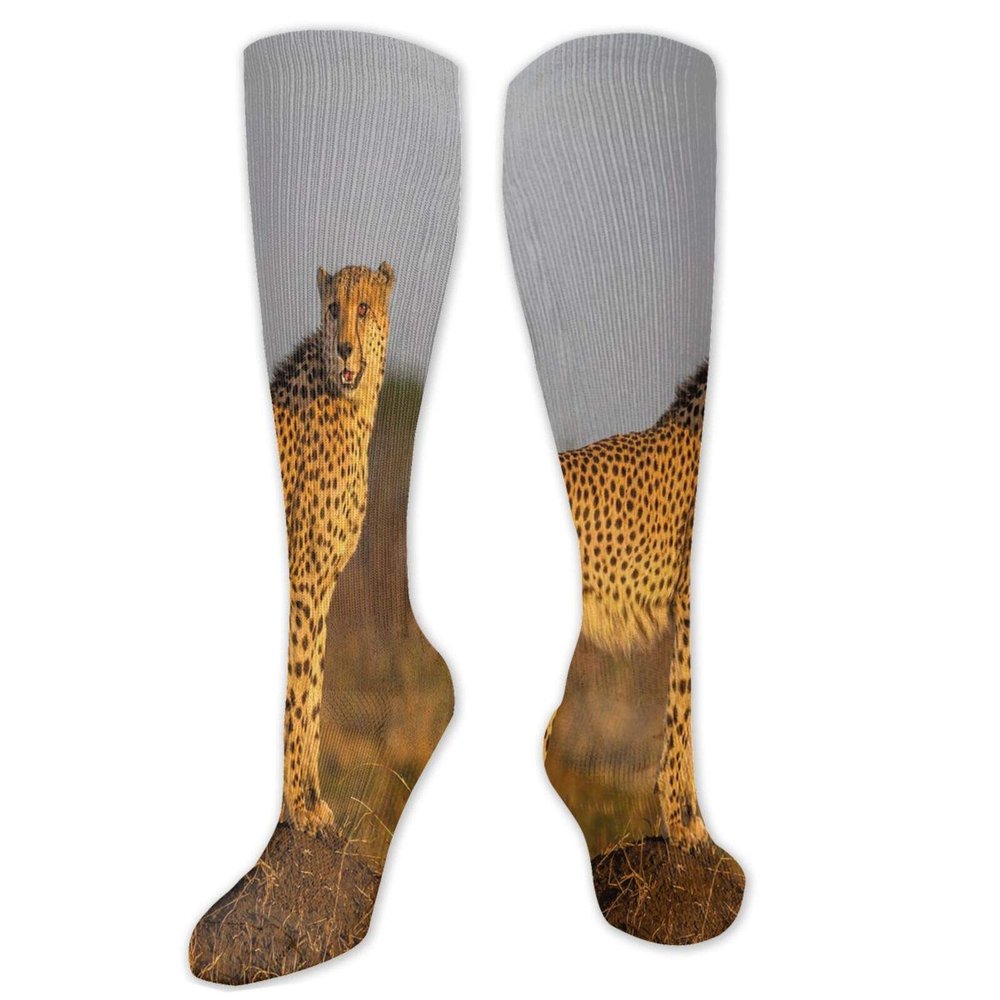 Safari Fashion Compression Socks,African Wild Animal Cheetah Standing On Termite Mound Performance Polyester Cushioned Athletic Crew Socks for Running,Athletic,Ginger Apricot Dust- 19.8 inch