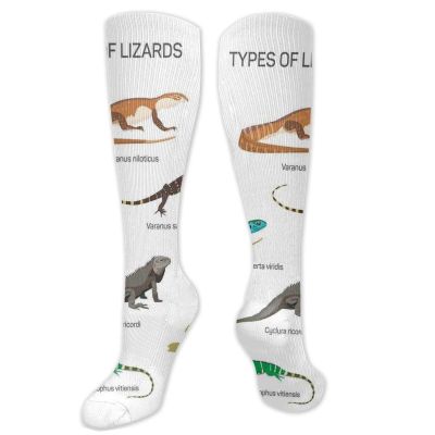 Reptiles Funny Compression Socks Women and Men,Lizard Family Design Primitive Reptiles Camouflage Exotic Creatures Home Design,Best for Circulation,Running,Athletic,Nurse,TravelMulti- 19.8 inch