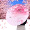 Chinese Umbrella, Oiled Paper Umbrella with Solid Wood Handle for Wedding Parties Photography Cosplay(Pink) view 4