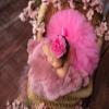 Baby Photography Props Boy Girl Photo Shoot Outfits Newborn Lovely Costume Tutu Dress Flower Headband (Mei Hong) view 2