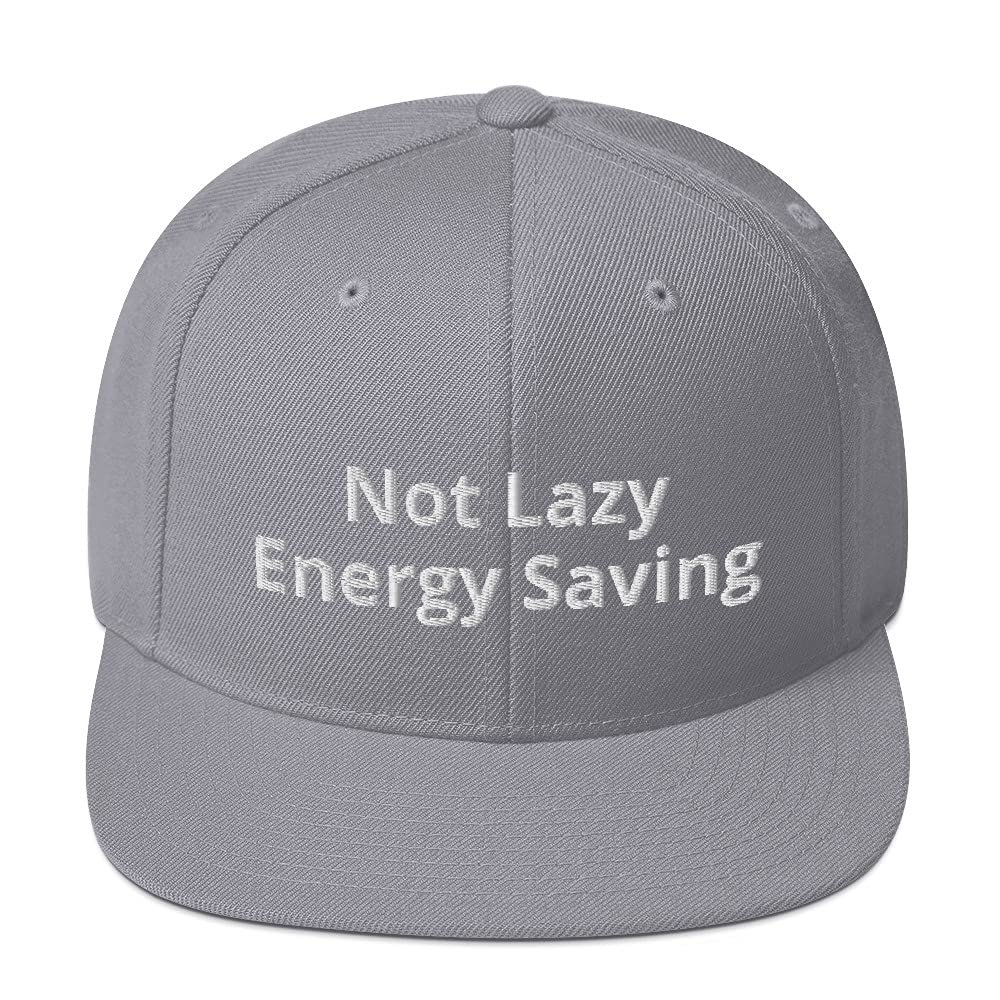 Not Lazy Energy Saving Flatbrim Flat Brim Snapback Hat Cap Silver