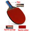 LINGOSHUN Professional Ping Pong Racket,ITTF Approved Rubber with Carbon Fibre Technology Performance-Level Table Tennis Bats / 6 Stars / 15x24cm view 2