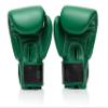 Fairtex Resurrection Premium Muay Thai Boxing Gloves - Limited Edition Design | Collaboration with Tom Atencio | Stylish & Durable | Syntek Leather | Handcrafted | MMA Kickboxing Gloves (12oz) view 2