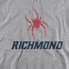 University of Richmond Official Distressed Primary Logo Unisex Adult Pull-Over Hoodie,Athletic Heather, X-Large view 2