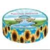 Country Brook Design - Sunflowers Reflective Polyester Webbing (1 Inch, 20 Yards) view 1
