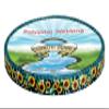 Country Brook Design - Dairy Fields Polyester Webbing (3/4 Inch, 50 Yards) view 1