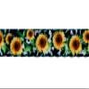 Country Brook Design - Dairy Fields Polyester Webbing (3/4 Inch, 20 Yards) view 3