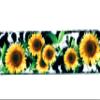 Country Brook Design - Dairy Fields Polyester Webbing (1 Inch, 20 Yards) view 3