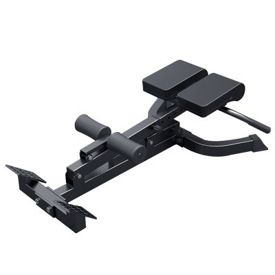 WAHHWF Foldable Roman Chair Hyperextension Bench for Home Gym, Heavy Duty Adjustable Back Extension Exercise Equipment for Abdominal Workout Exercise