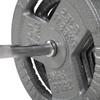 Cast Iron Standard Weight Plates Including 5FT Standard Barbell with Star Locks, 45-Pound Set (35 Pounds Plates + 10 Pounds Barbell), Silver view 4