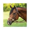 Double S Double Rope Side Pull | Ideal for Sensitive Horses | Double Lariat Rope for Leverage | Grade A Single Ply Leather | Adjustable Cheeks, Curb, and Throatlatch | Classic Browband Design view 2