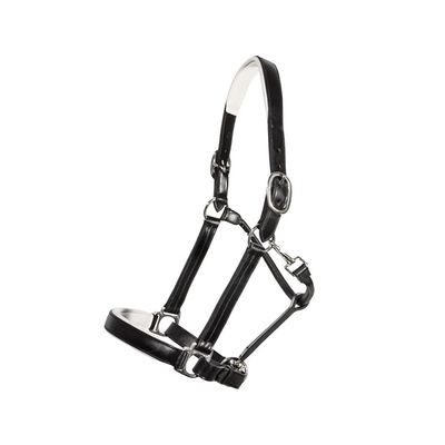 Schneiders Joseph Sterling Aachen Dressage Halter for Horses | Triple-Stitched Sedgwick Leather | Padded Nose & Crown | Elegant Show Halter | Color Black w/Black | Size Thoroughbred
