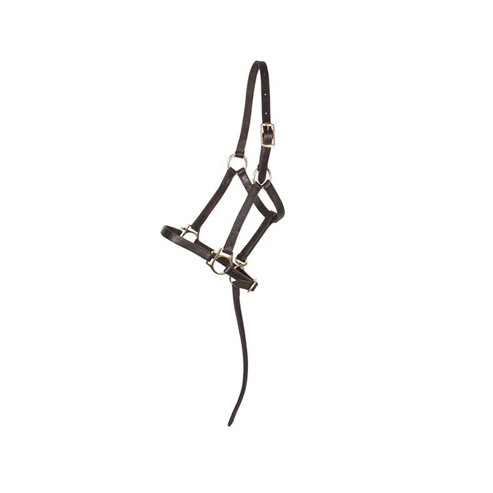 Schneiders Premier Leather Foal Halter for Horses - Weanling | Premium Grade A Leather | Designed for Growing Foals | Adjustable Curb for Customized Fit | Includes Grab Strap | Brass Plated Hardware