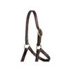 Schneiders Premier Leather Foal Halter for Horses - Weanling | Premium Grade A Leather | Designed for Growing Foals | Adjustable Curb for Customized Fit | Includes Grab Strap | Brass Plated Hardware view 2