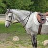 Billy Royal German Martingale | Effortless Headset Training | Durable Mountain Climbing Rope | Includes 7' x 3/4" Wide Split Reins | Brass and Stainless Hardware | Dark Oil Leather Finish view 2