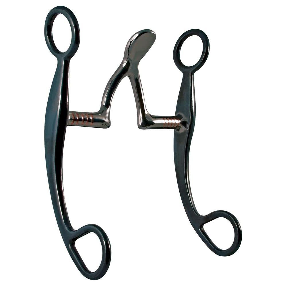 FES Congress Cathedral Horse Bit | Optimized for Finished Western Pleasure or Working Cow Horses | Enhances Responsiveness to Cues | Promotes Salivation | Minimizes Tongue Pressure