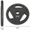 BalanceFrom Powergainz Olympic 2-Inch Cast Iron Plate Weight Plate for Strength Training and Weightlifting, Black POG-AT2IN-35X2 view 3