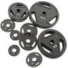 BalanceFrom Powergainz Olympic 2-Inch Cast Iron Plate Weight Plate for Strength Training and Weightlifting, Black POG-AT2IN-35X2 view 4