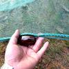 Lawaia Folding Crab Trap Fishing Trap Net Portable Small Mesh Trawl Fishing Cage with Ceramic Sinkers Floats for River Blocking Fish Trap,Network Port Width 4/5/6/8/10m Shrimp Cage - Height 1.2m view 2