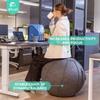 ENOVI Lite Yoga Ball Chair, Exercise Ball with Slipcover for Office and Home, Birthing and Pregnancy, 65cm, FG view 2