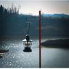 Outdoor Aluminum Alloy Camping Lamp Stand Single-Head Hook Multi-Function Lamp Pole Portable Camping Lamp Lighting Pole Black view 4