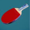 LINGOSHUN 5-Star Table Tennis Set,Ping Pong Paddle with Racket Case,Intermediate & Beginner Players for Indoor, Outdoor Play / 5 Stars/Short Handle view 2