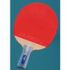 LINGOSHUN 5-Star Table Tennis Set,Ping Pong Paddle with Racket Case,Intermediate & Beginner Players for Indoor, Outdoor Play / 5 Stars/Short Handle view 3