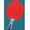 LINGOSHUN 5-Star Table Tennis Set,Ping Pong Paddle with Racket Case,Intermediate & Beginner Players for Indoor, Outdoor Play / 5 Stars/Long Handle view 2