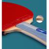 LINGOSHUN 5-Star Table Tennis Set,Ping Pong Paddle with Racket Case,Intermediate & Beginner Players for Indoor, Outdoor Play / 5 Stars/Long Handle view 4