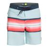 Quiksilver Boys' Surfsilk Resin Tint YTH 17 Boardshort Swim Trunk Bathing Suit, Blue Grey, 30/16 view 1