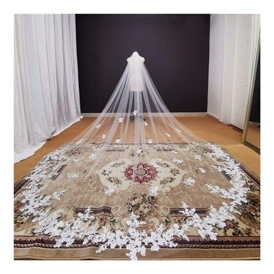 Bridal Wedding Veils Long Lace Appliques Wedding Veil White Ivory Cathedral Bridal Veil Bride Veil Wedding Accessories Gorgeous Bridal Tulle (Color : Ivory, Item Length : 500cm)