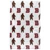 Brown University Bears Blanket, 36"x58", Logo Pattern, Silky Touch Super Soft Throw view 2
