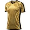 Arcarius Men's Pro Soccer Jersey  Moisture Wicking Match or Goalie Uniform (Gold/Black, Large)