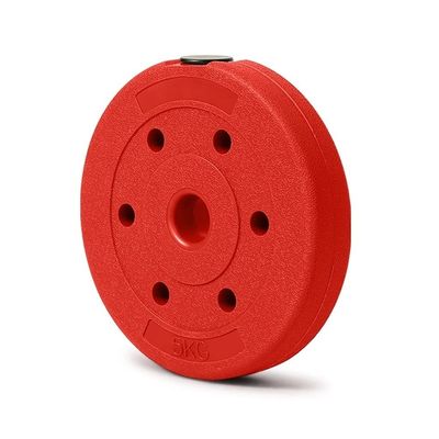 YKHB Color Weight Plates,1 in Barbell Plates,Home Gym Bumper Plates,Suitable for Weightlifting and Fitness Training-2 Pieces (Size : 5kg/11lbs2)