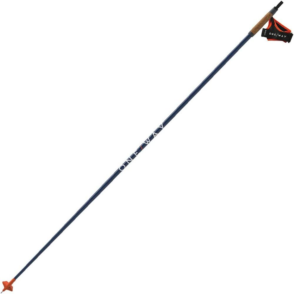 Fischer Skiing Lightweight High-Performance Storm 5 Race Navy Nordic Poles, 140 cm