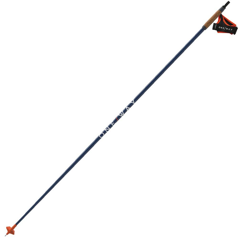 Fischer Skiing Lightweight High-Performance Storm 5 Race Navy Nordic Poles, 135 cm