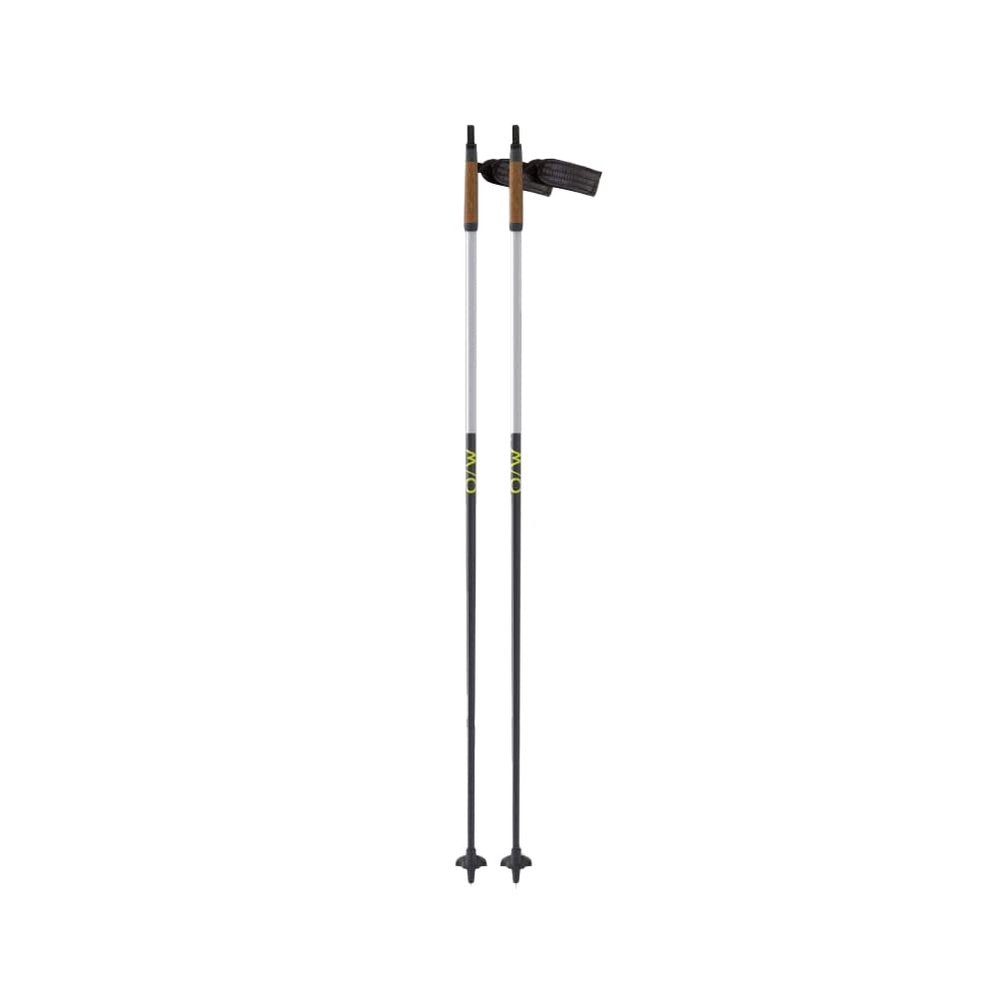 Fischer Junior Skiing Fitness Fiberglass w/Cork Grips Lightweight High-Performance Diamond FX Jr Grey/White Nordic Ski Poles, 90 cm