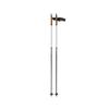 Fischer Junior Skiing Fitness Fiberglass w/Cork Grips Lightweight High-Performance Diamond FX Jr Grey/White Nordic Ski Poles, 100 cm view 1