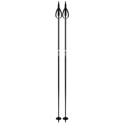 Fischer Unisex BC Offtrack Adult Durable Lightweight Stable Aluminum Adventure Nordic Ski Poles with Adjustable Straps, 135
