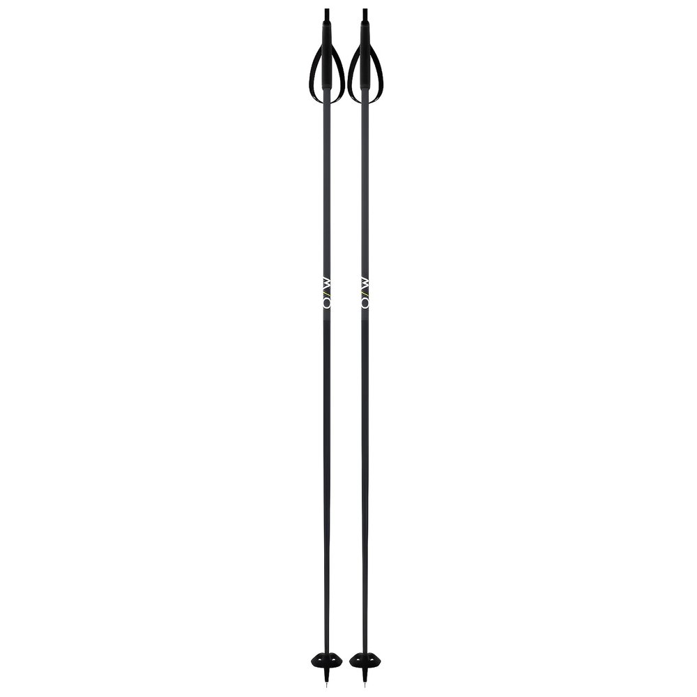 Fischer Unisex BC Offtrack Adult Durable Lightweight Stable Aluminum Adventure Nordic Ski Poles with Adjustable Straps, 135