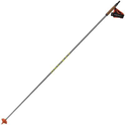 FISCHER Skiing Lightweight High-Performance Storm 6 Race Ghost Grey Nordic Poles, 140 cm