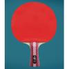 LINGOSHUN Table Tennis Paddle Set,Comfortable Handle,Portable Ping Pong Bats for Children Adult Family Activity / 4 Stars/Long Handle view 2