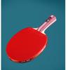 LINGOSHUN Table Tennis Paddle Set,Comfortable Handle,Portable Ping Pong Bats for Children Adult Family Activity / 4 Stars/Long Handle view 3