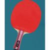 LINGOSHUN Table Tennis Paddle Set,Comfortable Handle,Portable Ping Pong Bats for Children Adult Family Activity / 4 Stars/Long Handle view 4