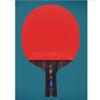 LINGOSHUN Ping Pong Racket Set,Comfortable Handle,Table Tennis Bat with Carbon Fibre Technology for Increased Control / 5 Stars/Short Handle view 4
