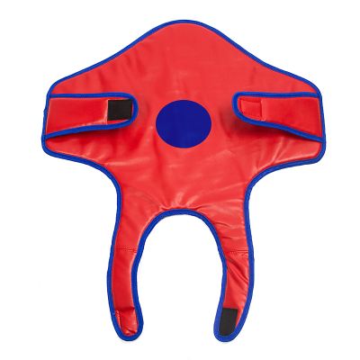 DLGF Fencing Mask, Plastic Fencing Mask for Child, Chest Protector, Children's Training Equipment