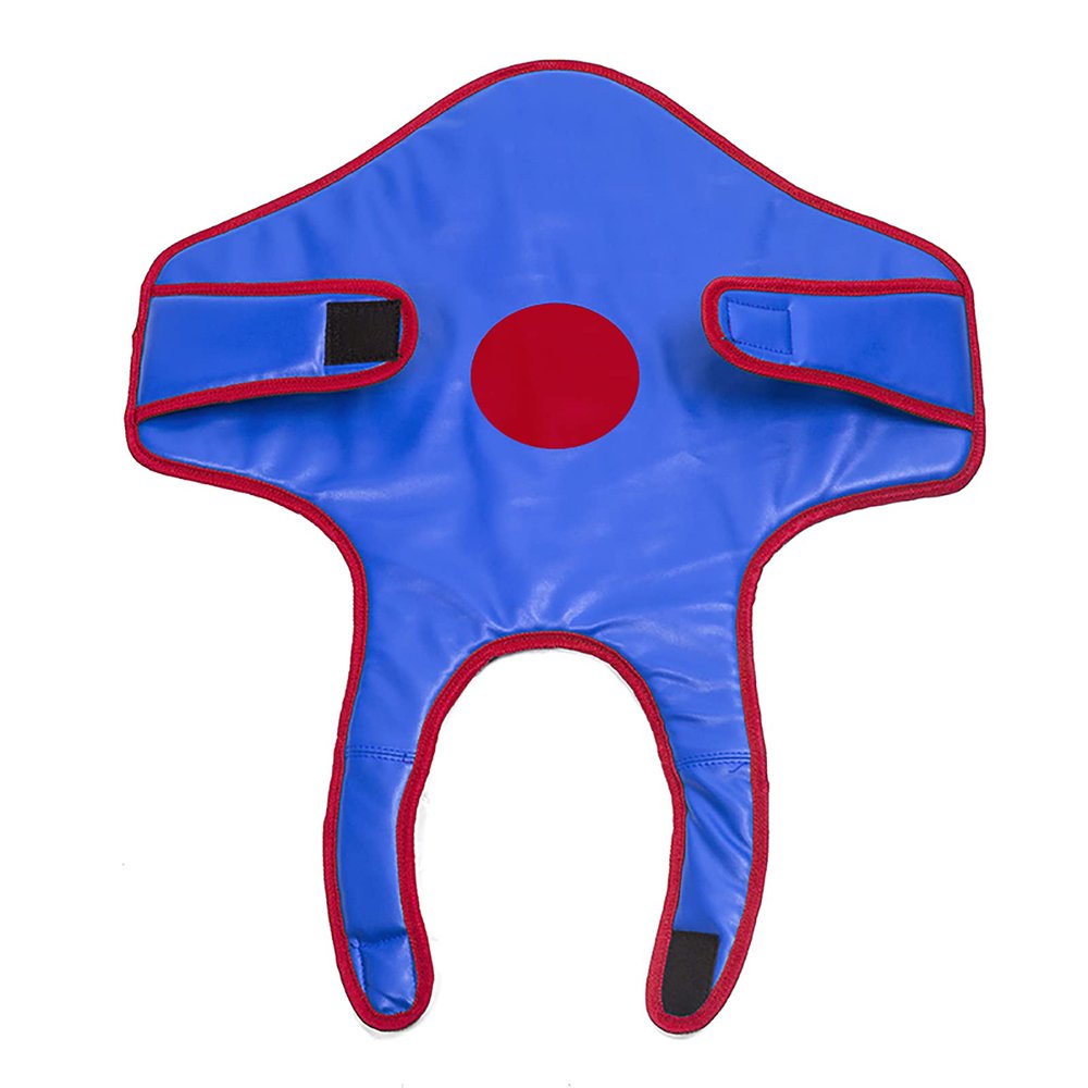 DLGF Fencing Mask, Plastic Fencing Mask for Child, Chest Protector, Children's Training Equipment