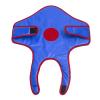 DLGF Fencing Mask, Plastic Fencing Mask for Child, Chest Protector, Children's Training Equipment view 1
